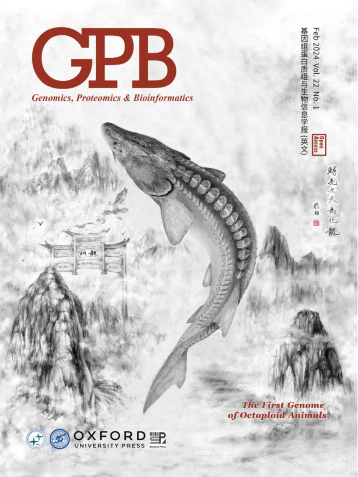 十年,绘一张中华鲟"生命地图"