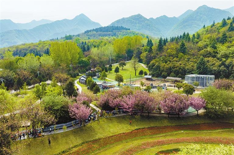 "保护好这片绿水青山 让世界保持生机勃勃" 一起来听听"秦岭卫士"的