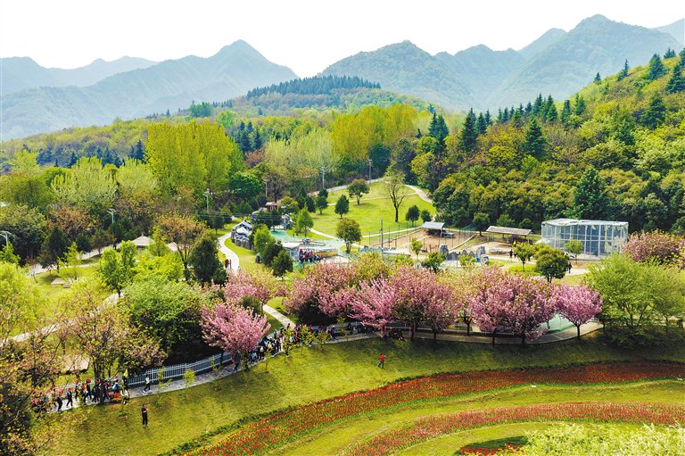 秦岭国家植物园内绿意盎然.