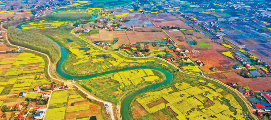 《人民日报》推介 | 常德澧县:激励基层干部能干事,干