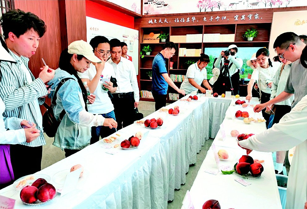 遂宁大英县"工会 产业链"助力乡村振兴