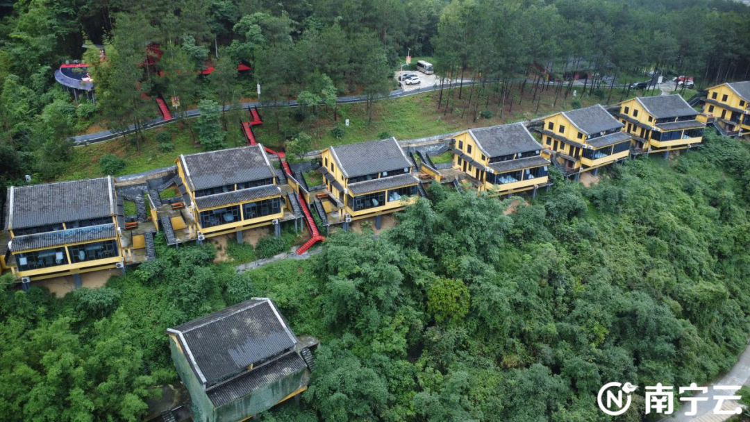 "蓝"旺马山"莓"好时光!网络名人聚焦马山县乡村振兴新画卷