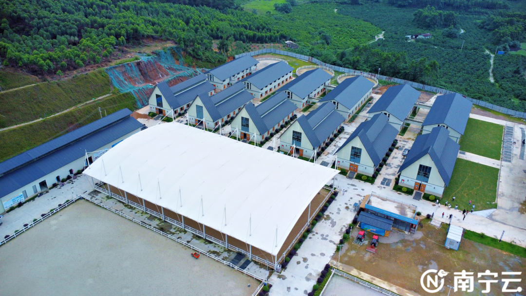 沉浸式体验"霞客眷恋地"!"v观南宁 畅游上林"网络名人主题活动举行