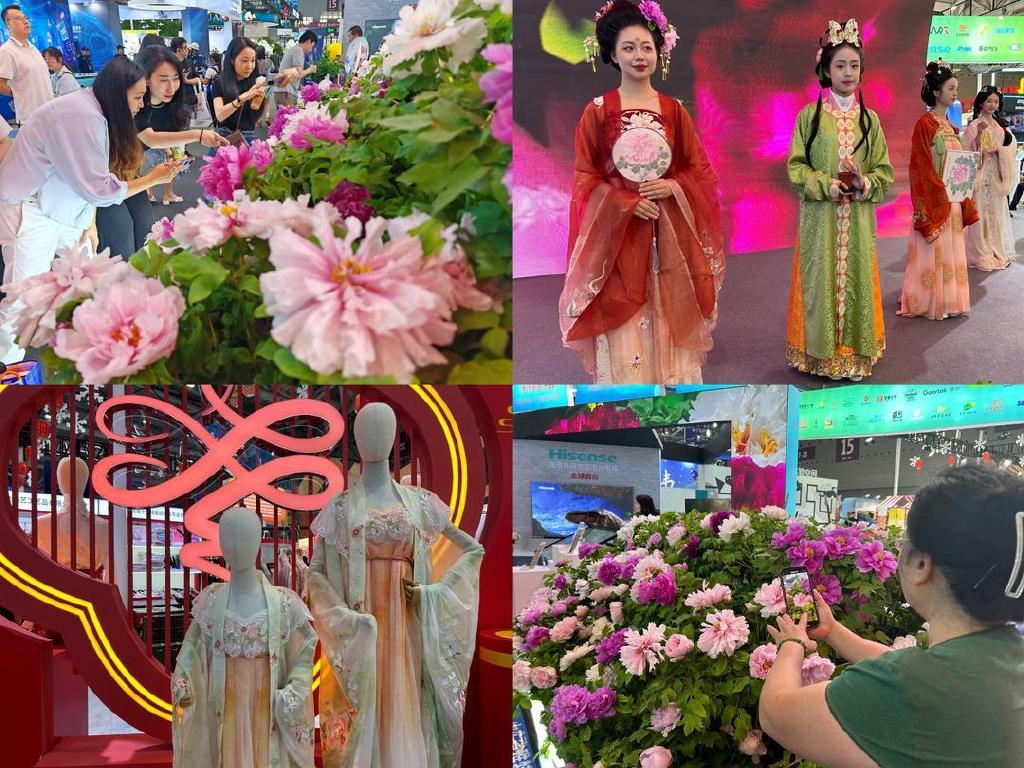 冠军"好品"的秘密,都藏在深圳文博会山东展区