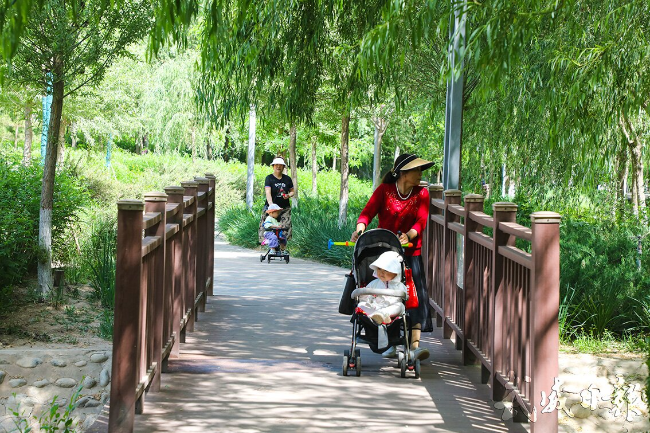 武威海藏公园 夏日园景入画来