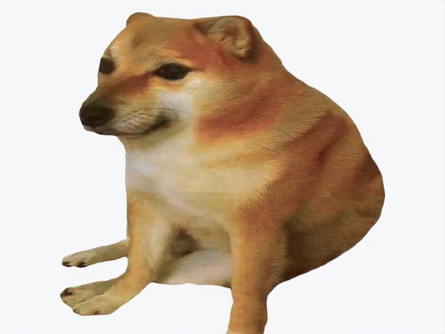 你常用的这个表情包原型,去世了|狗_新浪财经_新浪网