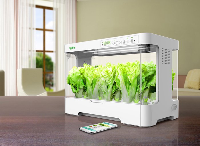 海尔智能水培种植箱"菜多多"