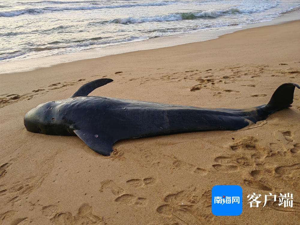 "海棠,一路平安!"爱心游客在"海棠"搁浅地写下祝福