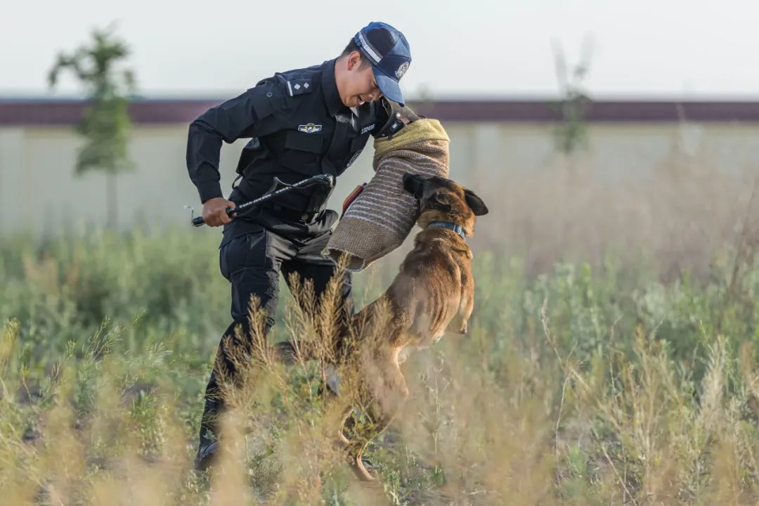 "小虎队",出发!早安
