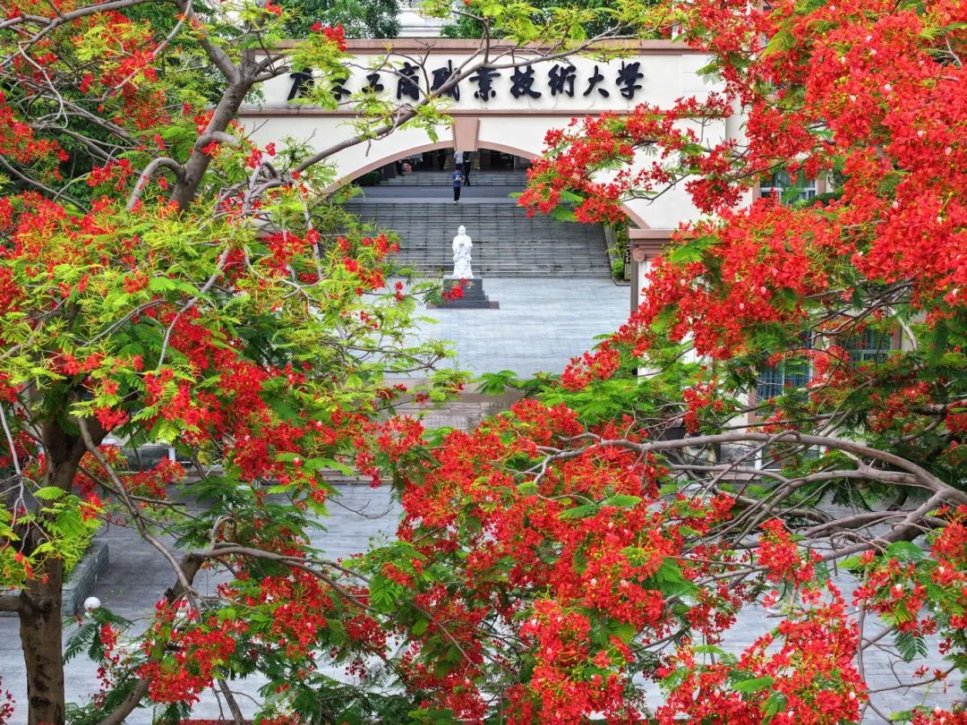 显得更加唯美,欧式风的校园建筑在热烈的凤凰花的映衬下,广东工商职业