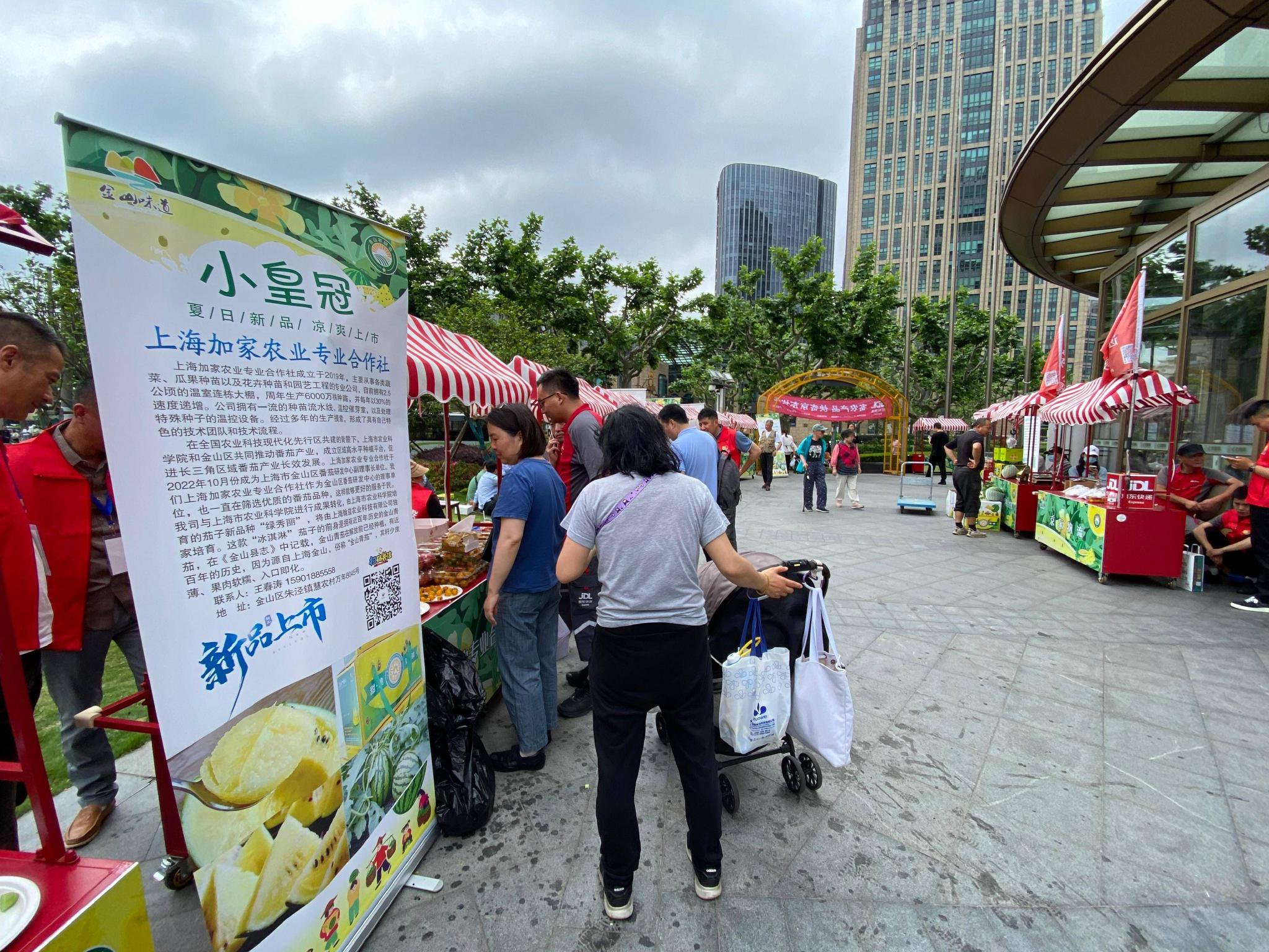 上海金山的小皇冠西瓜熟了,今年的瓜还可以"扫码溯源"