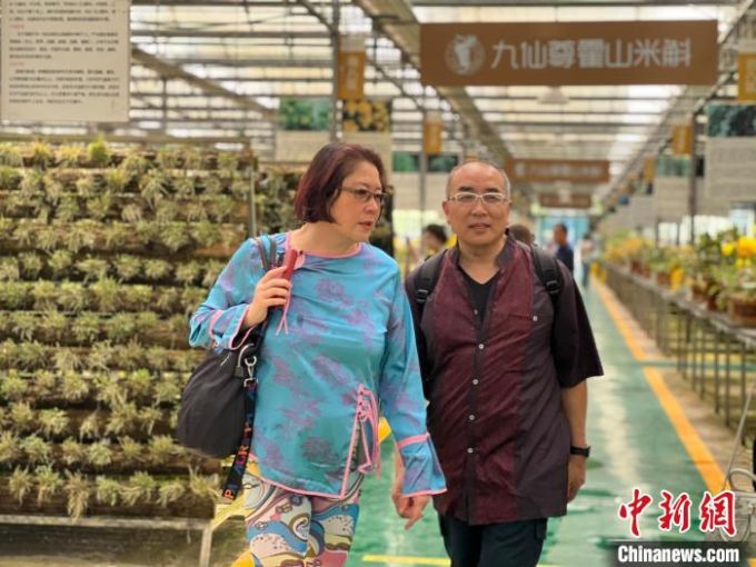 两岸婚姻家庭"寻味"大别山