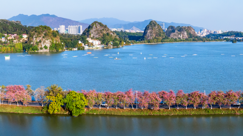 在肇庆可以这样用→|肇庆市_新浪财经_新浪网