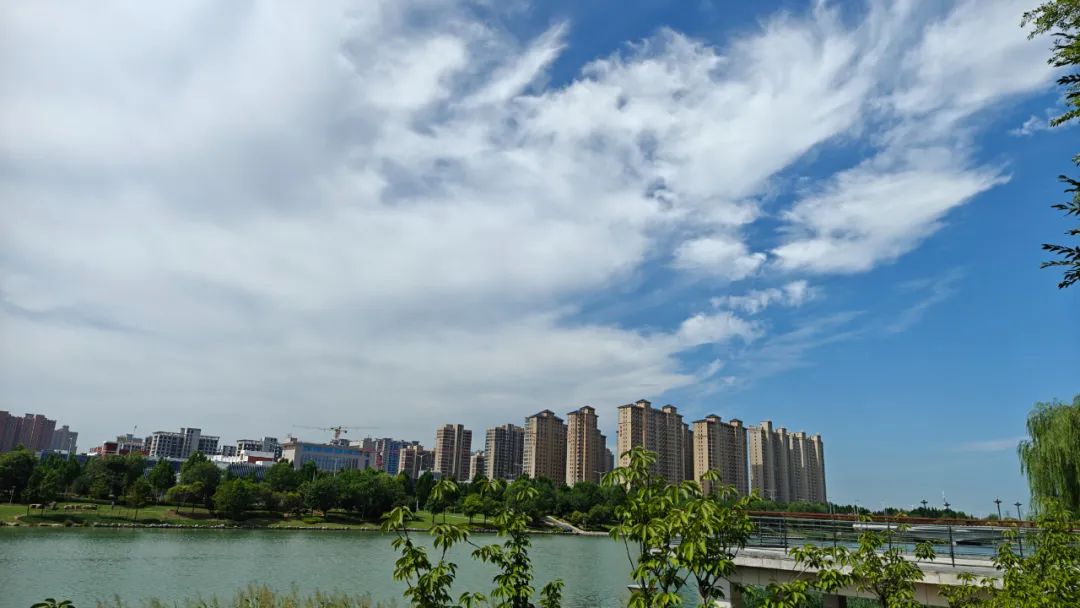 景城相融,濮上生态园鸟语花香,郁郁葱葱的树让人沉醉;濮水公园垂柳