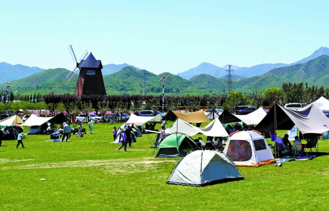 可野餐可露营可运动!石家庄903块绿地485块林下空间开放共享