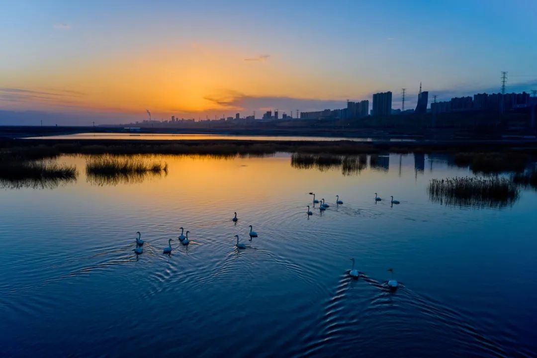 山西运城,"死海"边的决断