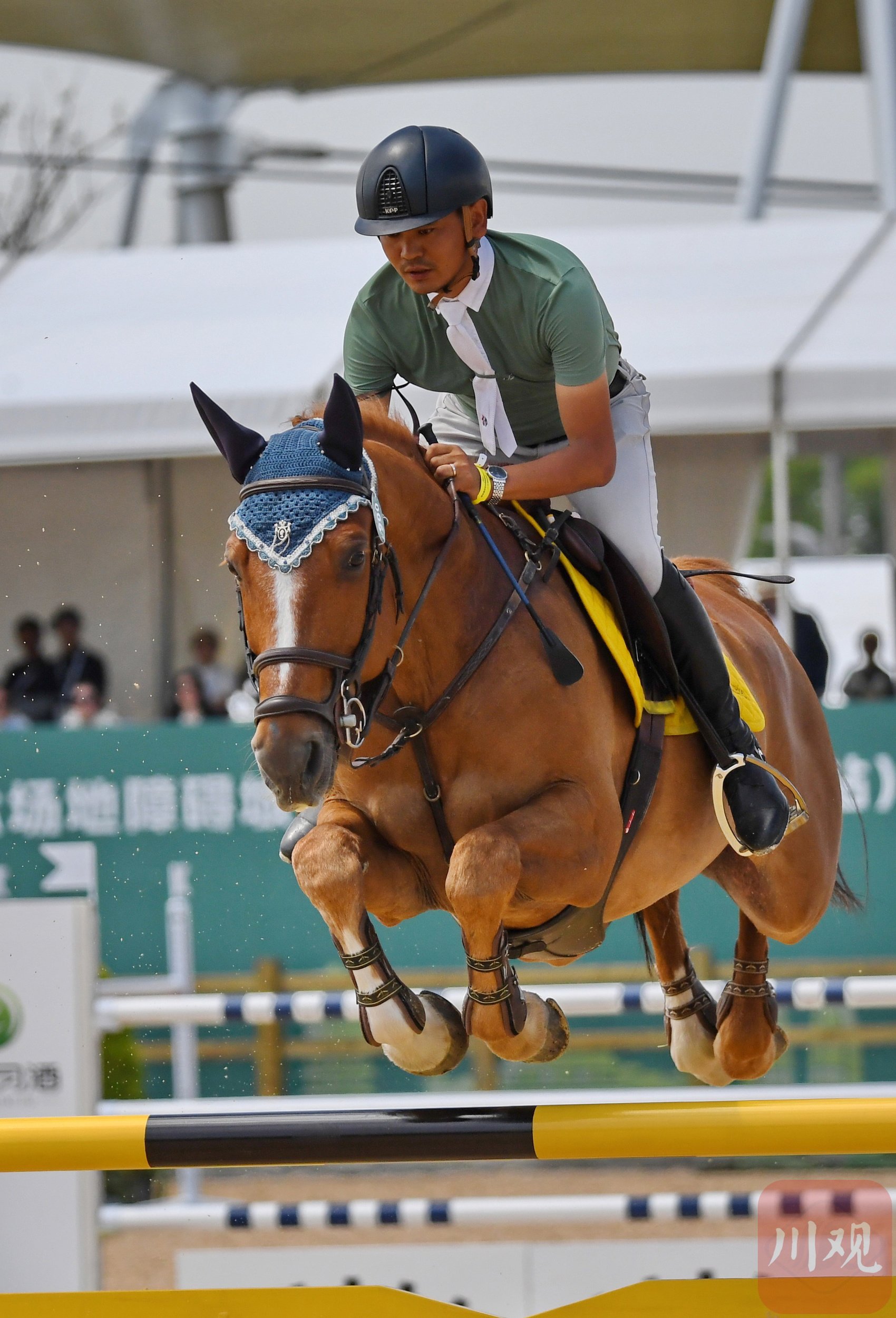 本次比赛吸引了广东,陕西,四川,浙江,贵州等地多家马术俱乐部参赛.