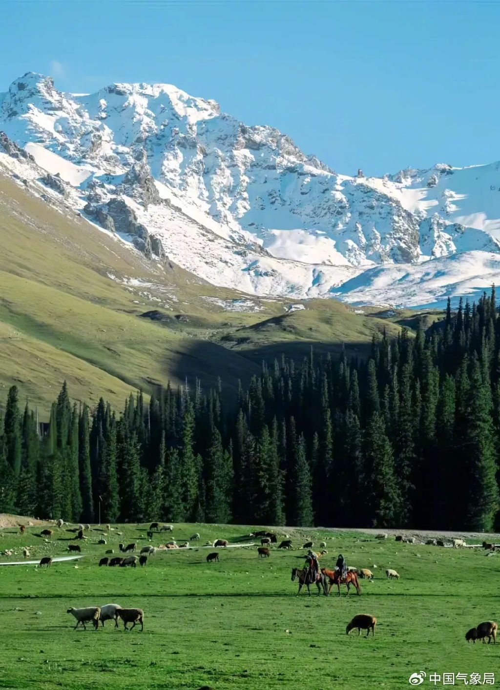 阿勒泰附近500元的服务真的可以约吗？详细解读与周边信息指南