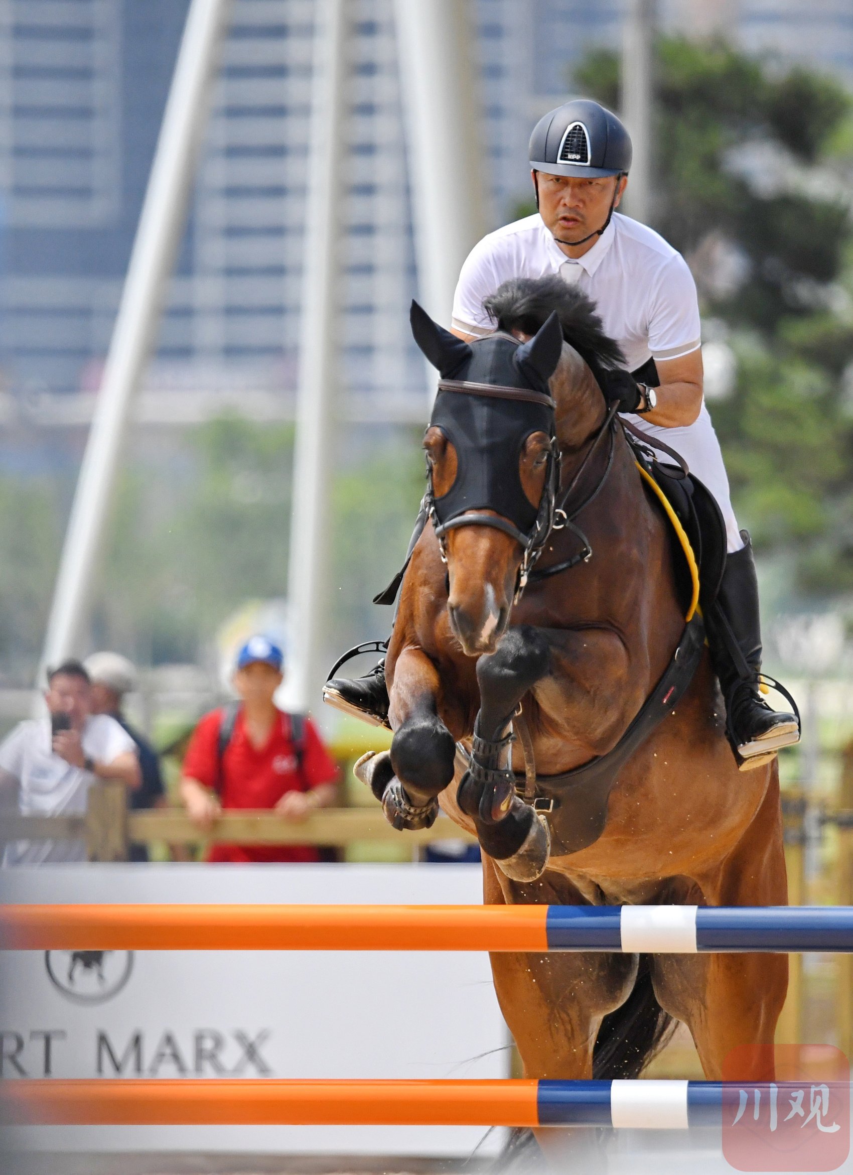 本次比赛吸引了广东,陕西,四川,浙江,贵州等地多家马术俱乐部参赛.