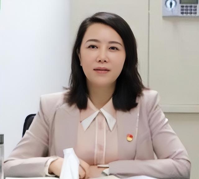 宋成玲长期在河南省医疗保障局工作,曾任河南省医疗保障局基金监管处