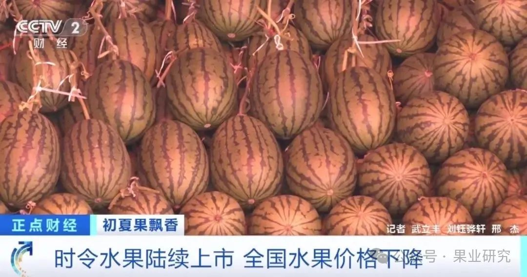 还有杨梅,枇杷,山竹,耙耙柑,油桃,李子,价格都有不同程度地下降,今年