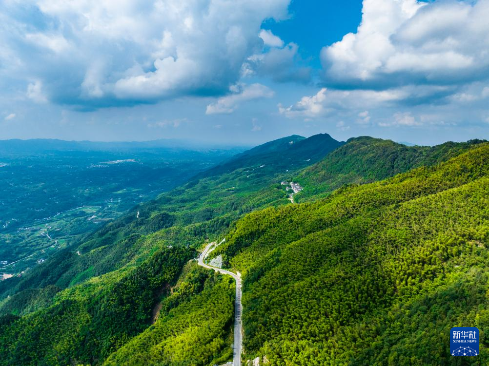 王全超 摄6969初夏时节,位于重庆市永川区的茶山竹海国家森林公园