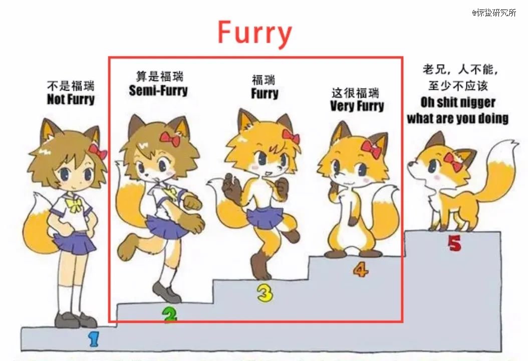 在现在,furry既可以指代具有动物特征或由动物拟人而成的角色本身,也