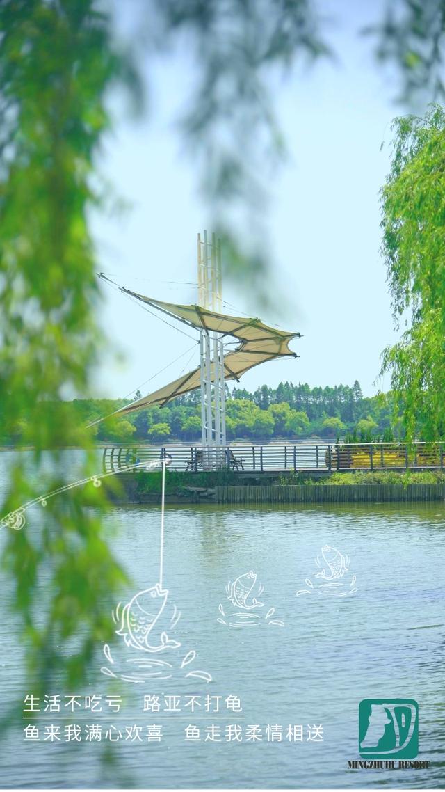 初夏游崇明5a景区,吃住行看这一条就够了!