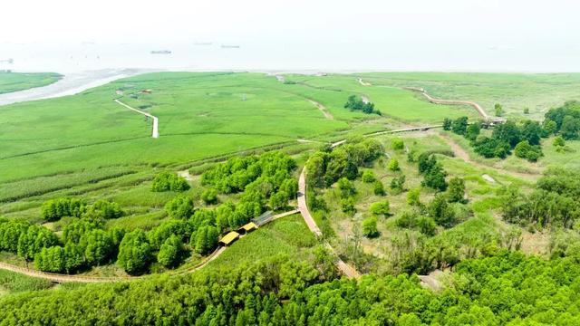 初夏游崇明5a景区,吃住行看这一条就够了!