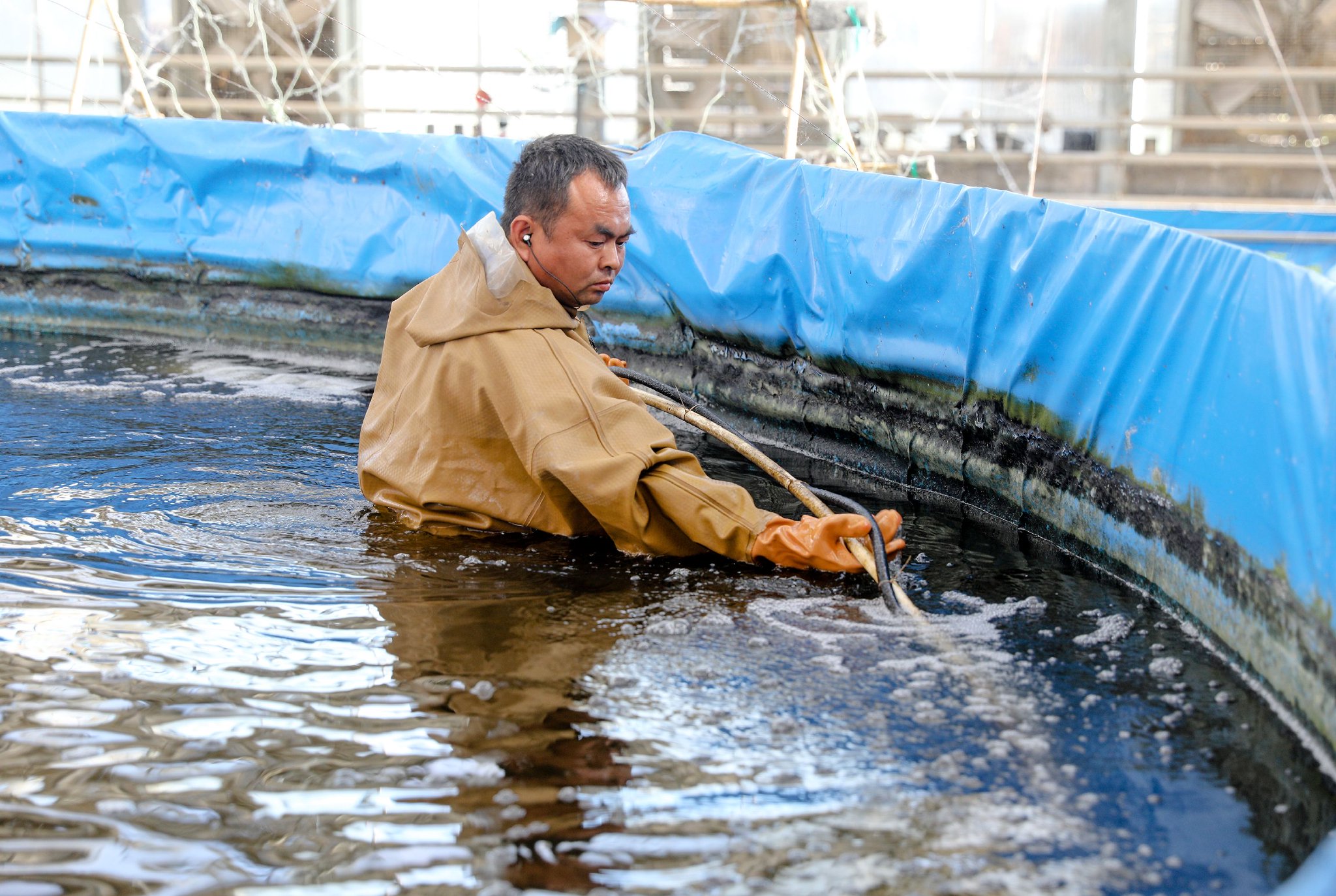 【加快发展新质生产力】鱼菜共生:种养"跨界" "牵手"绘丰景——景县