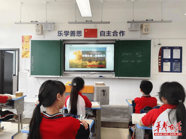 辰溪县开展"5·25"心理健康宣传教育月活动