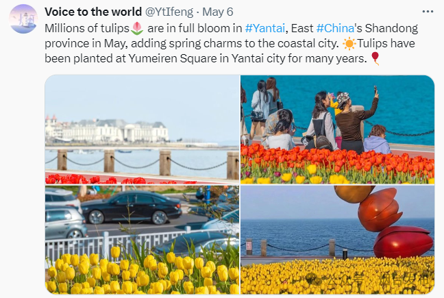 海外社交媒体上的"烟台声音"(5月6日—5月12日)