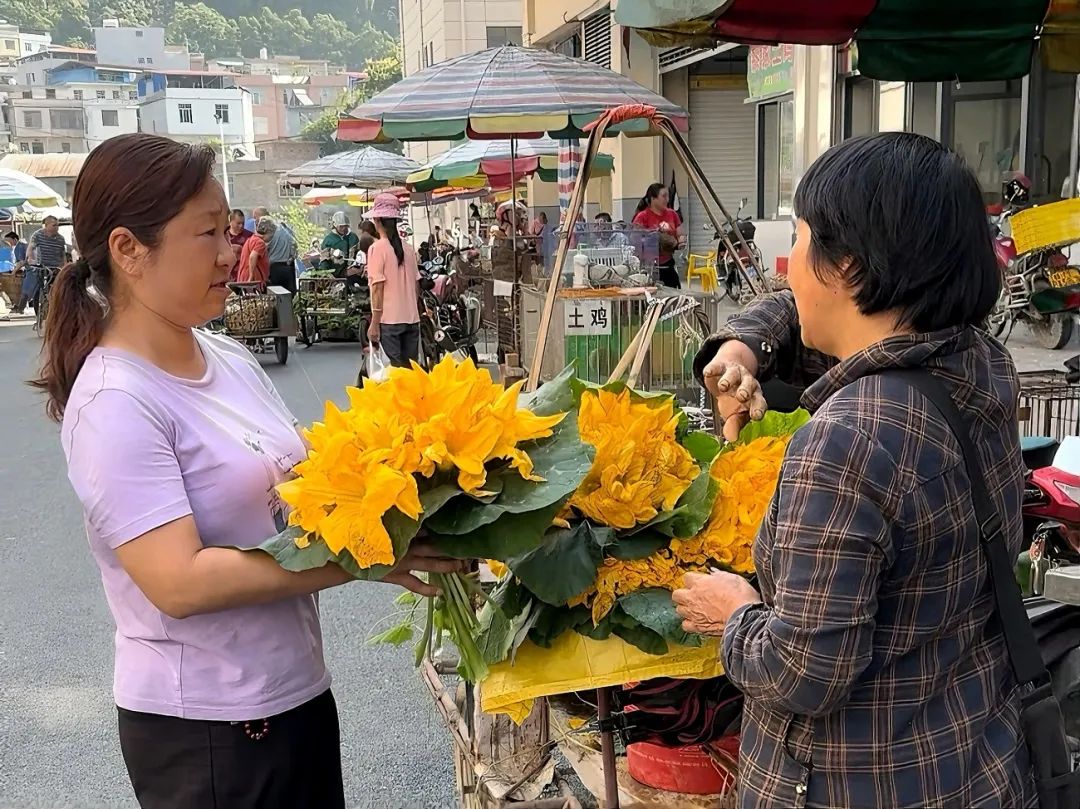 吃花时节到!南瓜花娇艳盛开 好看还好吃