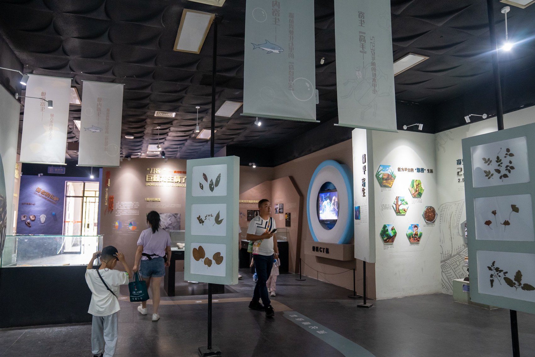 科创未来丨穿越时空"远古问诊",探寻恐龙等古生物"生病"之谜