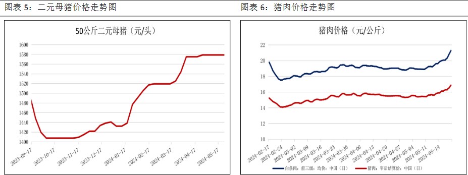 基本面驱动转强 生猪价格中枢上移