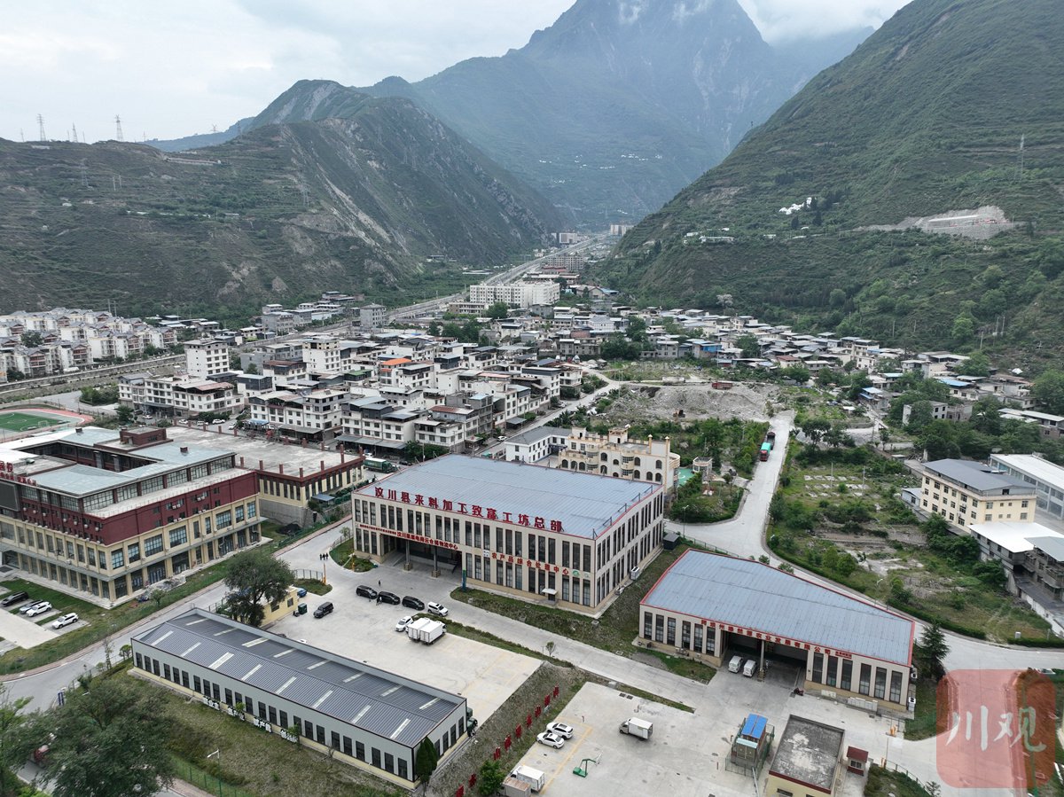 杨梅是汶川县绵虒镇大禹村人.