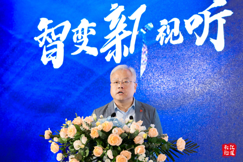 长江论道|百视通副总裁卢刚：融合千姿百态 融入万千场景|百视通|AI_新浪新闻