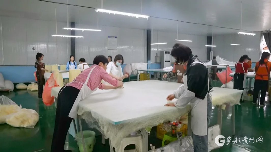 【融媒体中心新闻播报】遵义凤冈:"抽丝剥茧"编织致富路