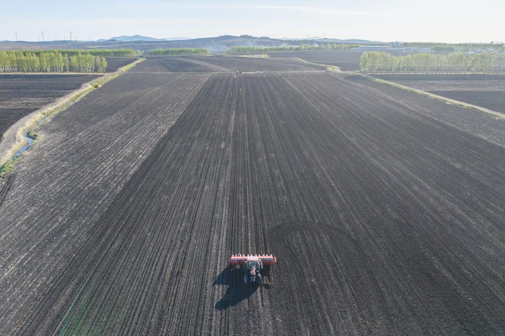 5月9日,黑龙江省集贤县一处大豆播种现场(无人机照片).