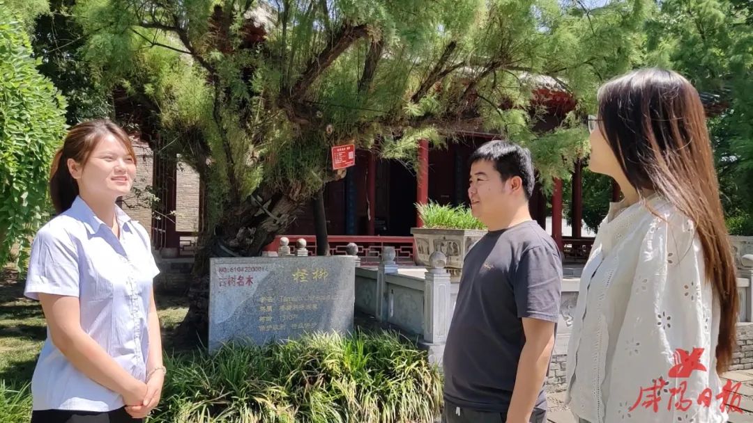 氤氲墨香!走进三原县鲁桥镇东里村,探寻"文化指纹"