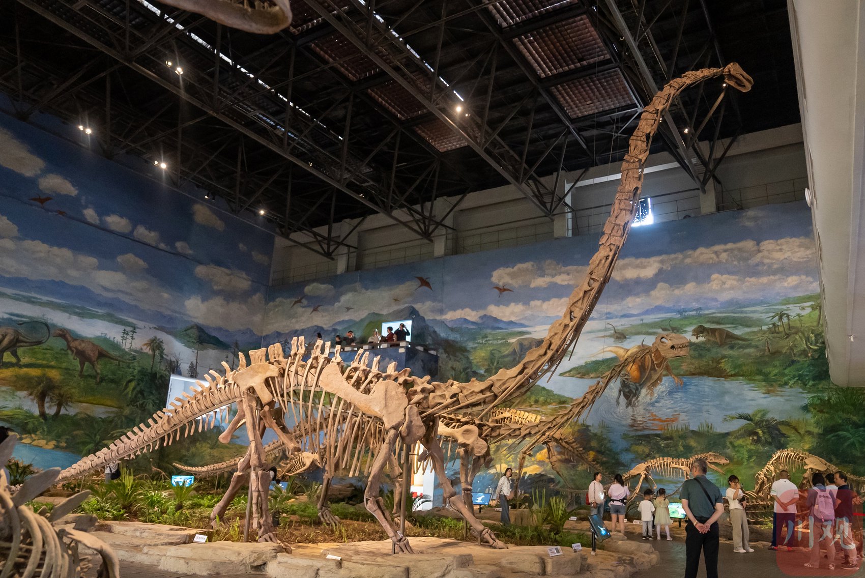 游客于自贡恐龙博物馆参观"远古问诊——古生物有病专题展"内"恐龙