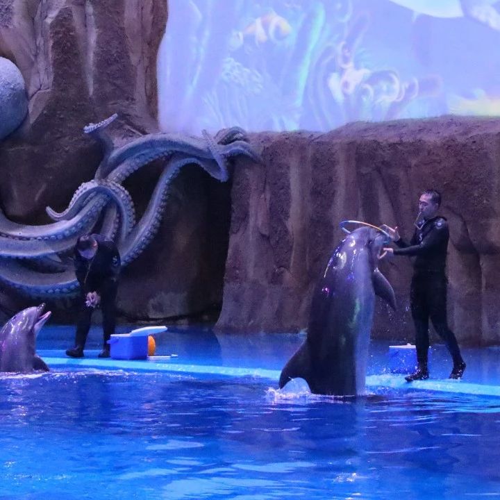 雁塔二中师生赴华夏文旅海洋公园开展研学实践活动