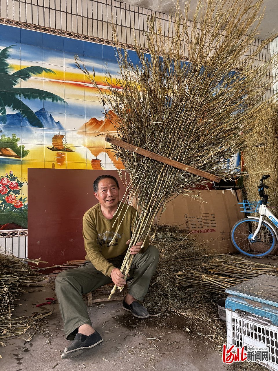 5月13日,赵县谢庄镇南龙化村,陈平义拢好竹枝,准备捆扎扫帚.