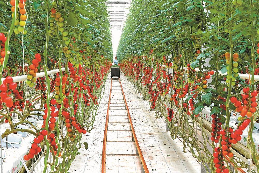 乡村的未来,用"数字"来定义