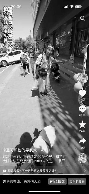 "宝哥"的无障碍北京漫步