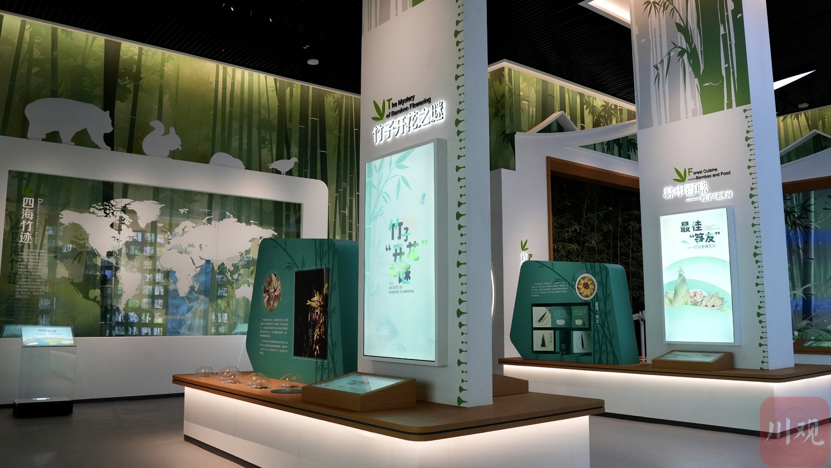 西南地区最大!宜宾竹文化博物馆正式开馆
