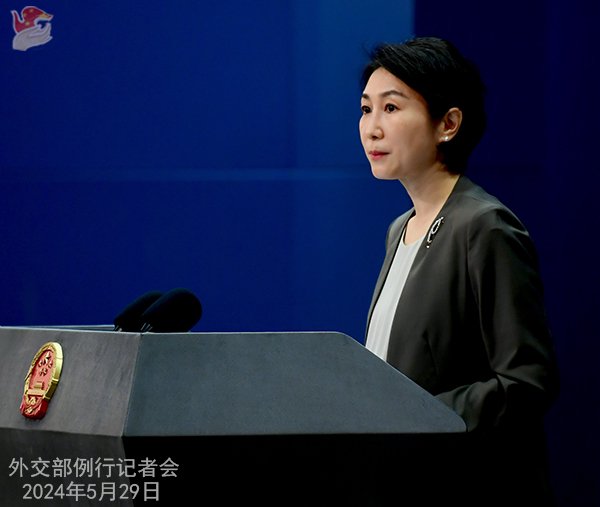 2024年5月29日外交部发言人毛宁主持例行记者会|中国_新浪财经_新浪网