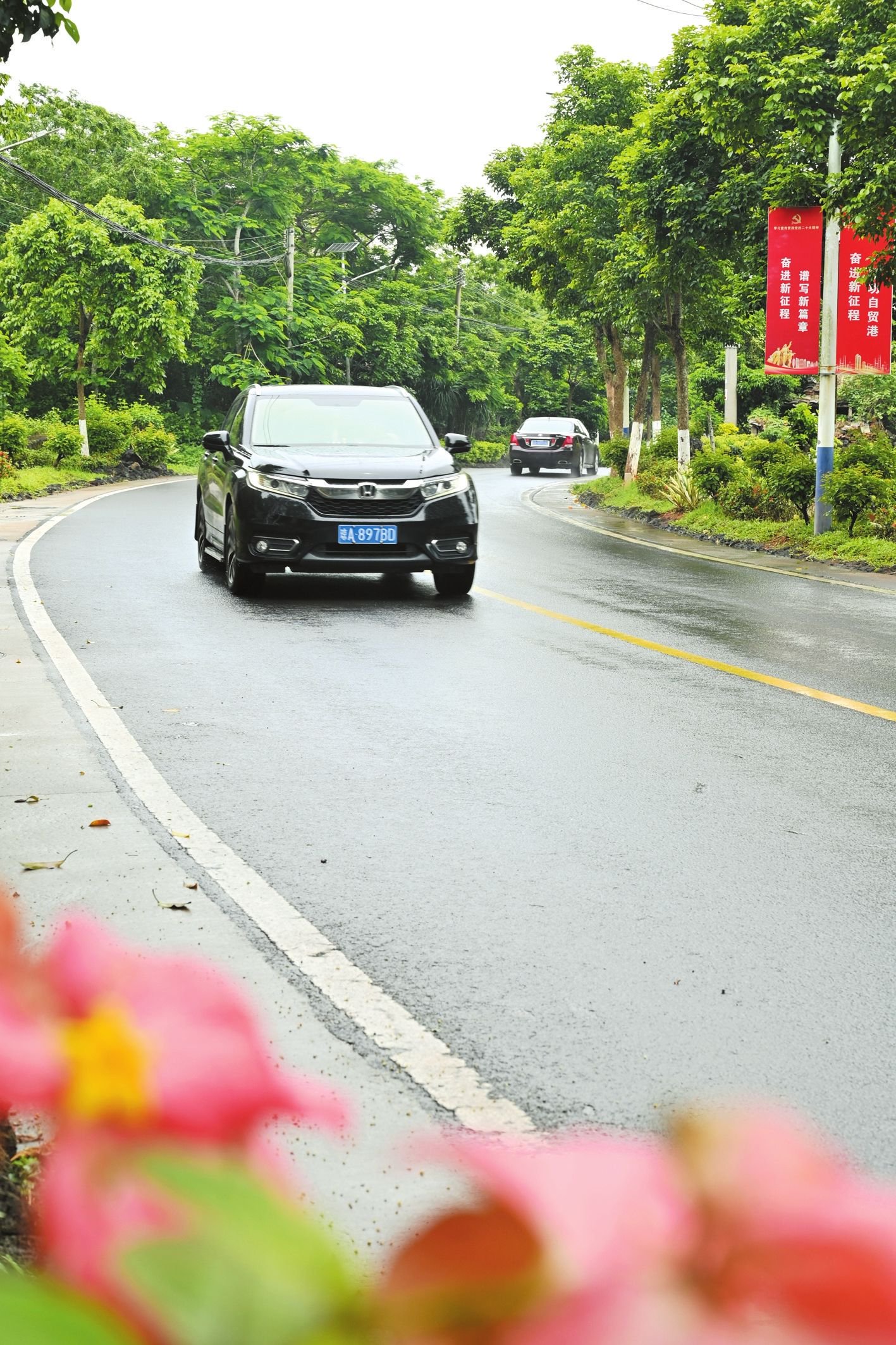海口积极推进"美丽农村路"示范路建设