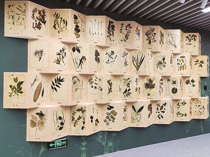 在这里认识"中国脊梁"