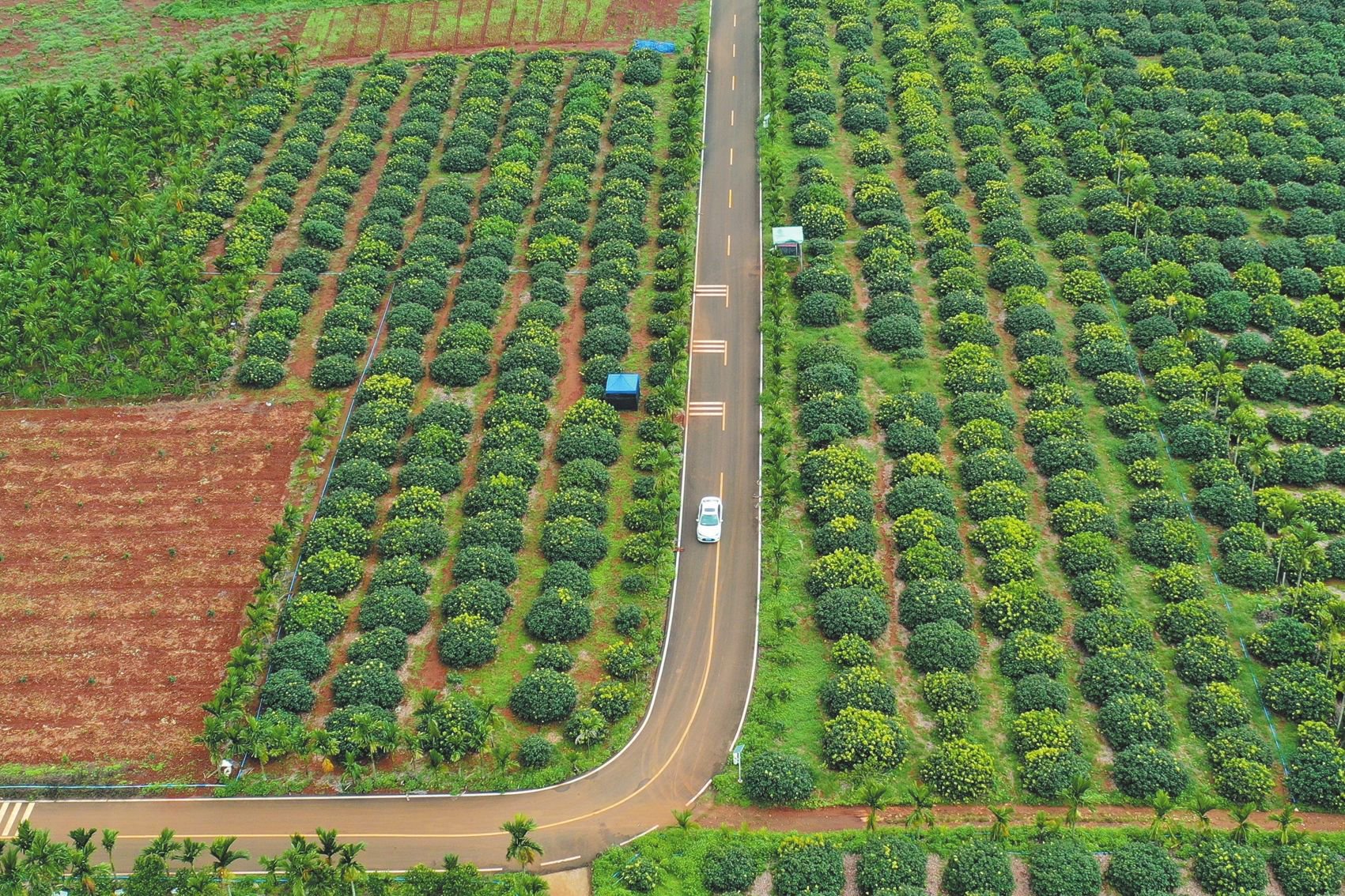 海口积极推进"美丽农村路"示范路建设
